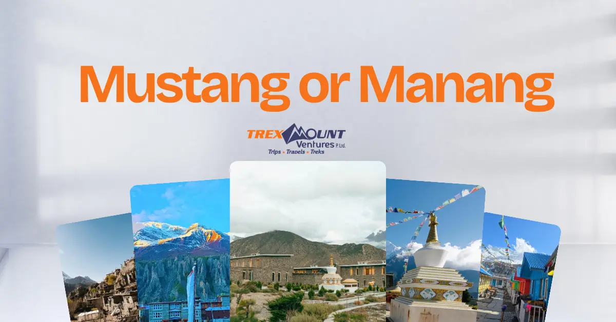 Which is best, Mustang or Manang? | Trexmount Ventures