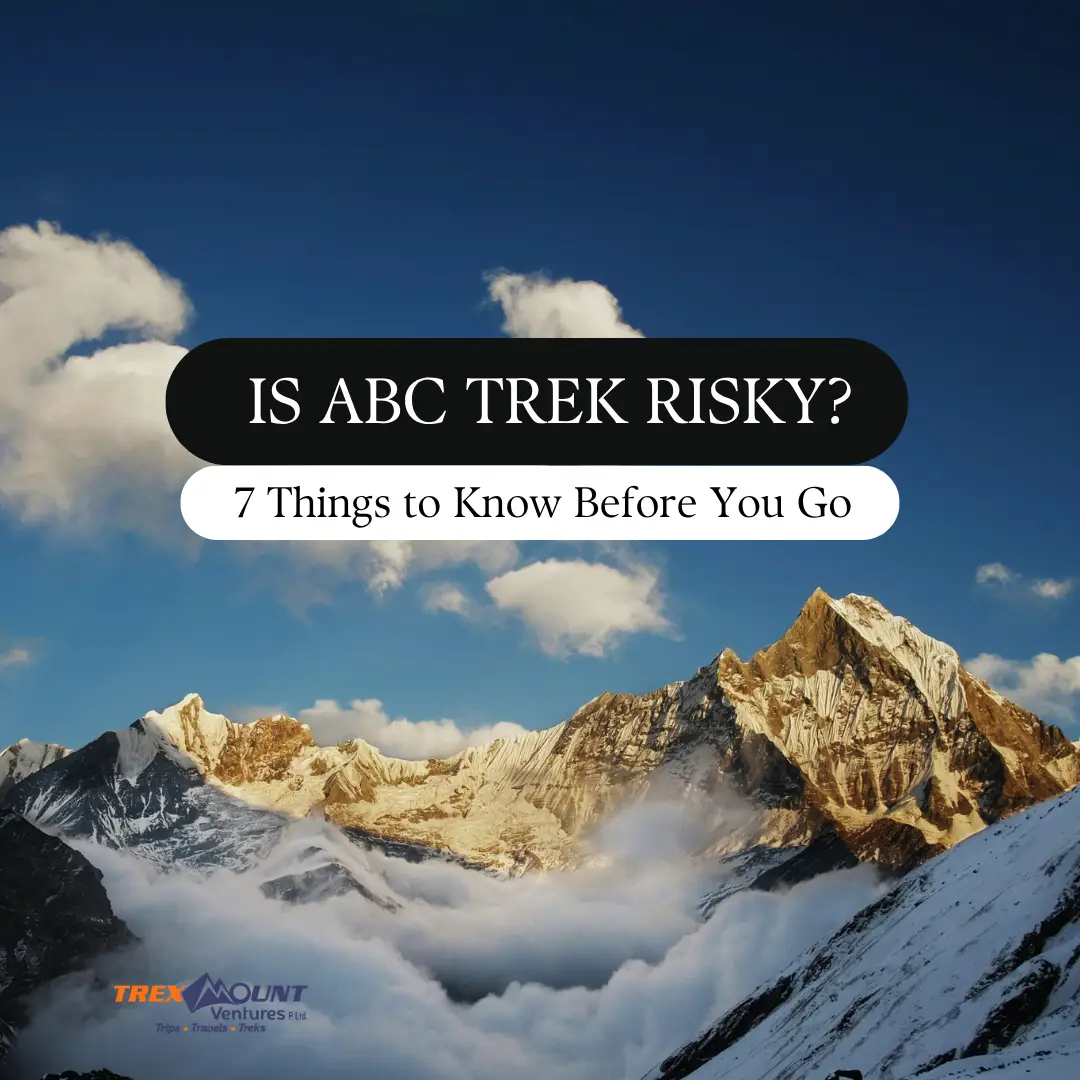 Is ABC Trek Risky? | 7 Things to Know Before You Go