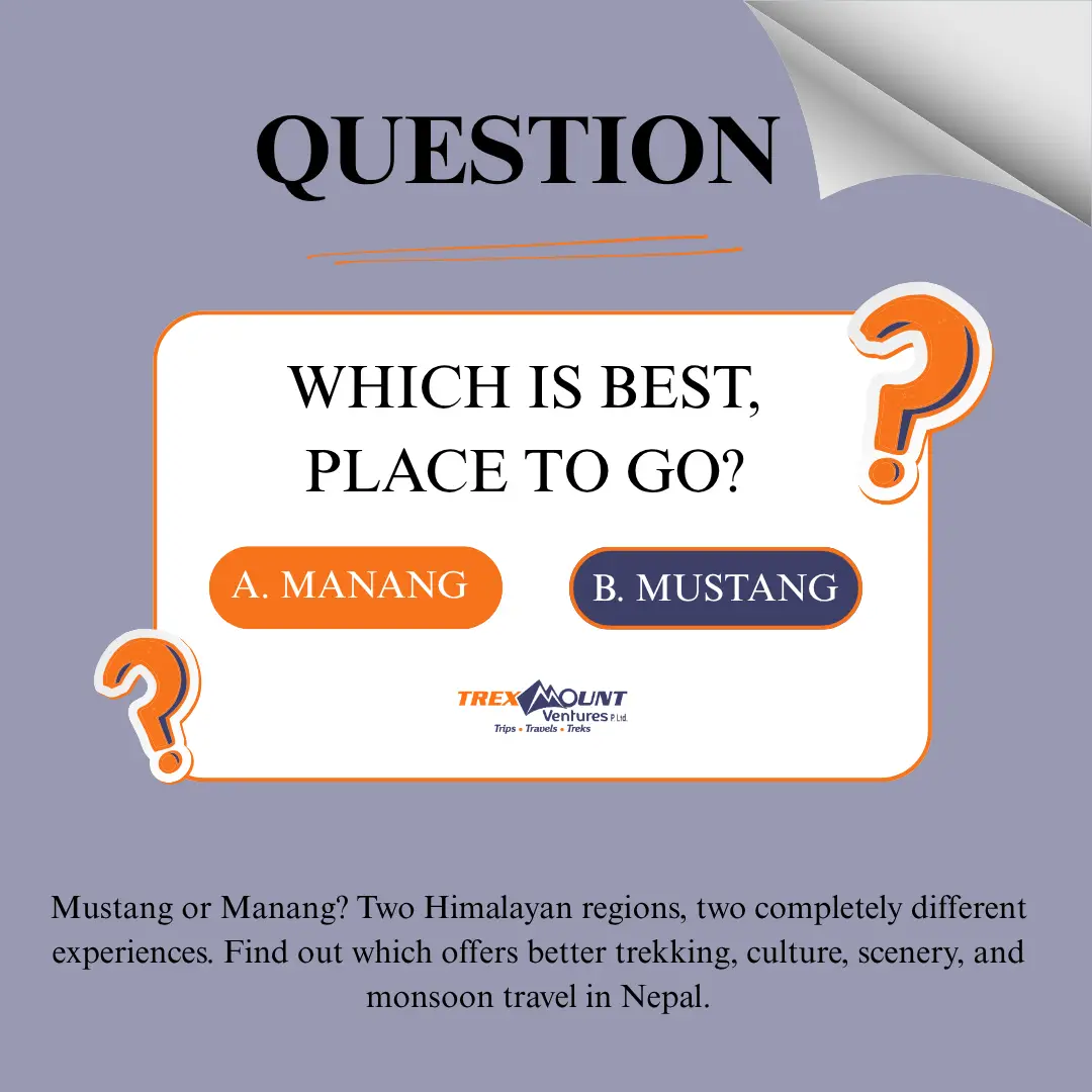 Which is best, Mustang or Manang?