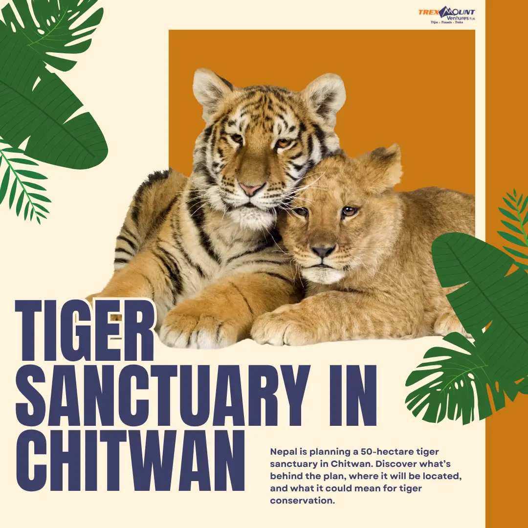 Nepal’s New 50-Hectare Tiger Sanctuary in Chitwan | Details
