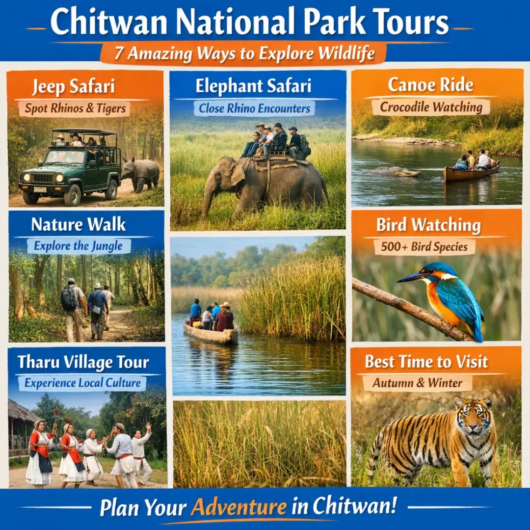 chitwan national park tours