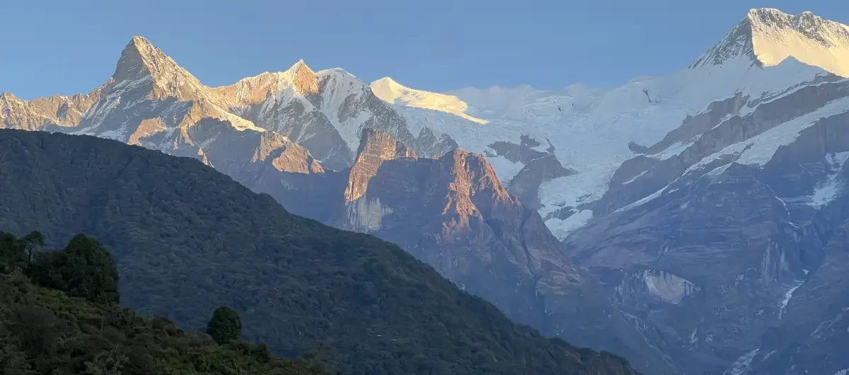 Large Image