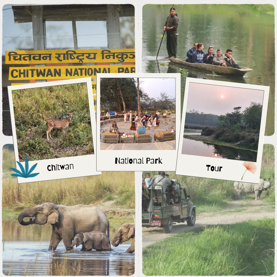 Chitwan National Park Tour