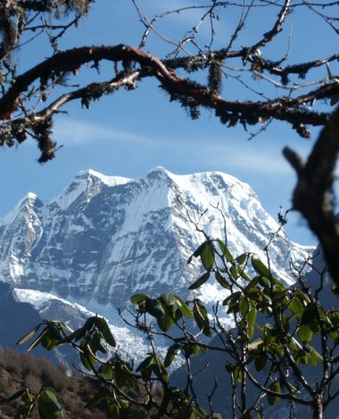 Mera Peak Climbing