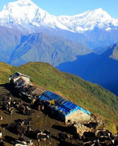 Dhaulagiri Circuit Trek