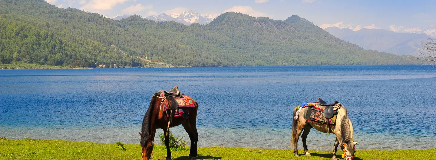Rara Lake Trekking 