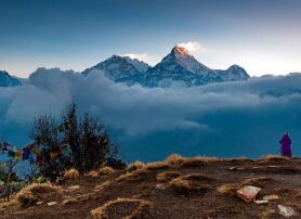 Poon Hill Trekking