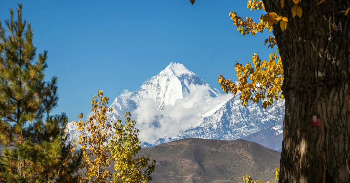 Dhaulagiri Base Camp trek