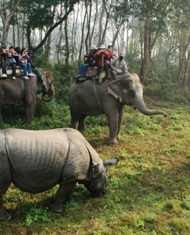 Jungle Lake and Temple Tour