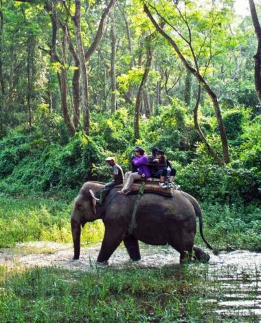 Chitwan National Park Tour
