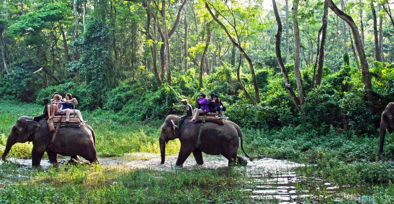 Chitwan National Park Tour