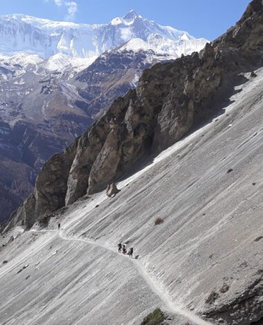 Tilicho Lake Trekking
