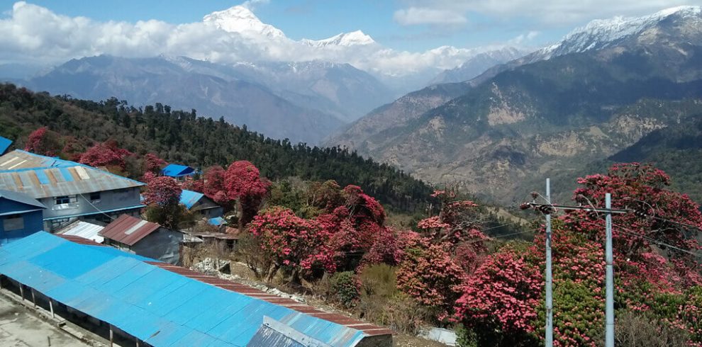 Dhaulagiri Mountain view from Ghorepani