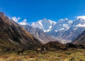 Trekking Routes for the Kanchenjunga Trekking