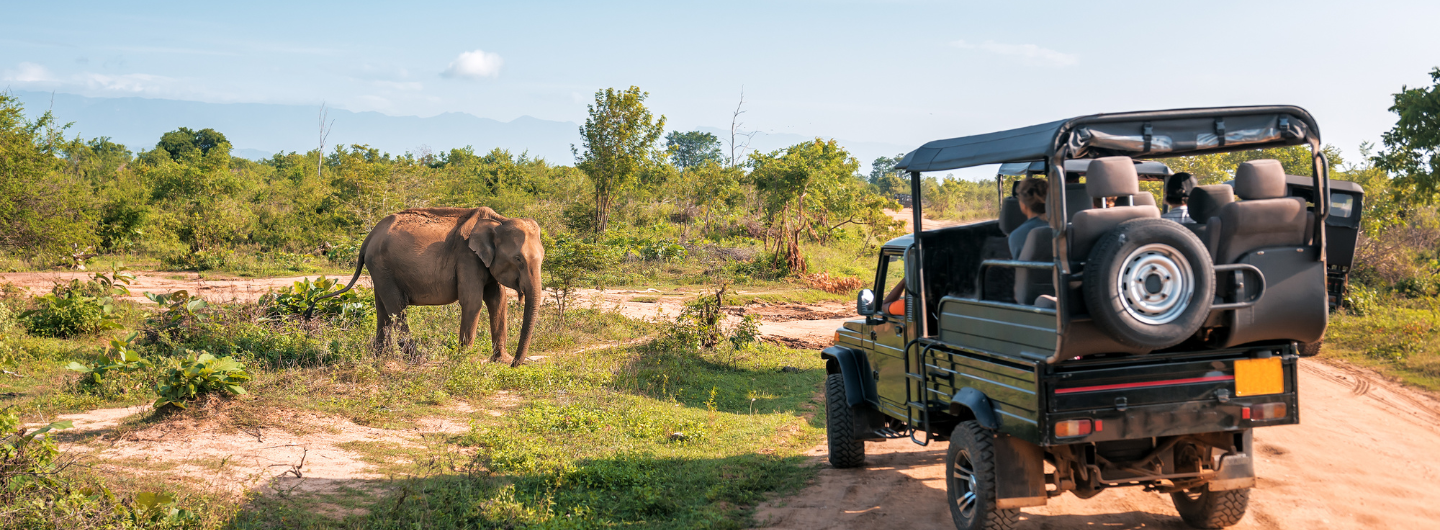 Jungle Safari in Chitwan