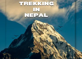 Top Trekking in Nepal: 7 Expert Insights for a Safe, Rewarding, and Happy Journey