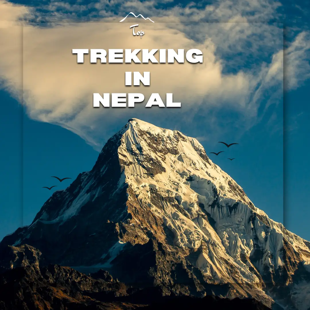 Top Trekking in Nepal: 7 Expert Insights for a Safe, Rewarding, and Happy Journey