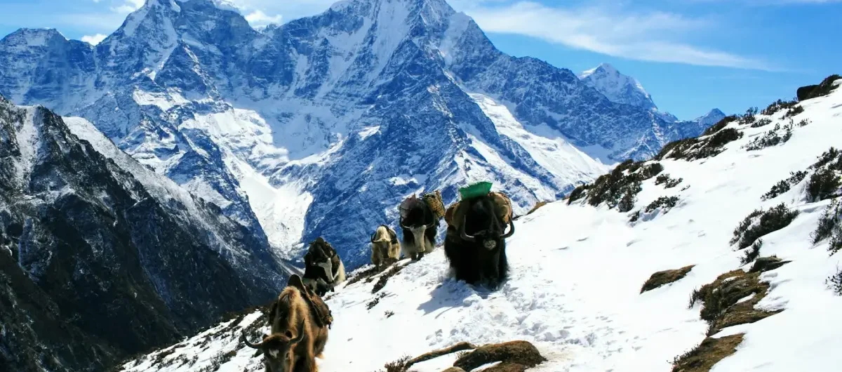 Mera Peak Nepal
