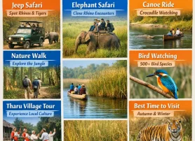 Chitwan National Park Tours