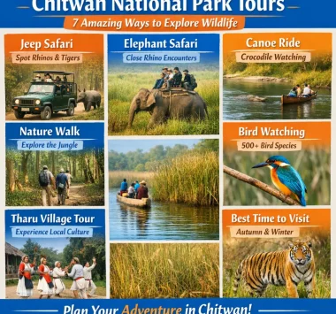 Chitwan National Park Tours