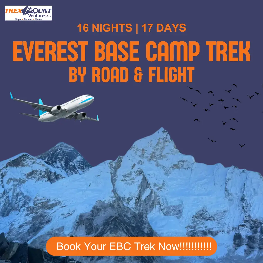 Everest Base Camp Trek by Road & One-Way Flight