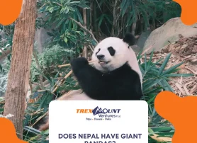 Does Nepal have giant pandas?
