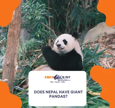 Does Nepal have giant pandas?