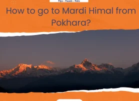How to go to Mardi Himal from Pokhara?
