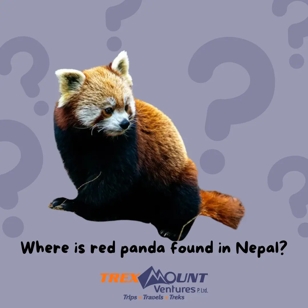 Where is red panda found in Nepal?